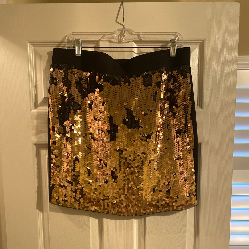 Sequin Skirt